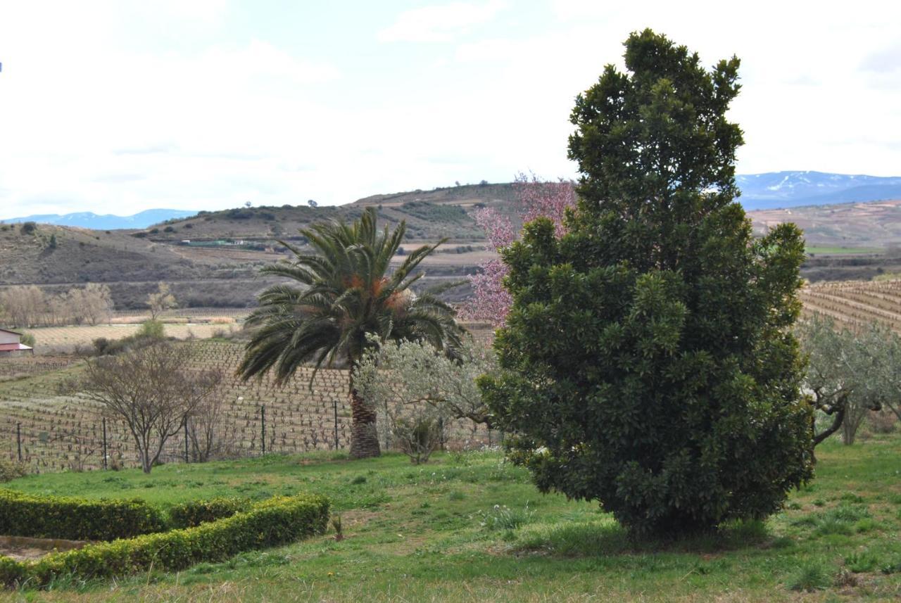 Casa Pichon Etxea Villa La puebla de Labarca Luaran gambar